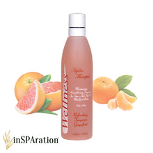 Load image into Gallery viewer, Refreshing Tangerine Grapefruit - Wellness 8oz Liquid Aromatherapy
